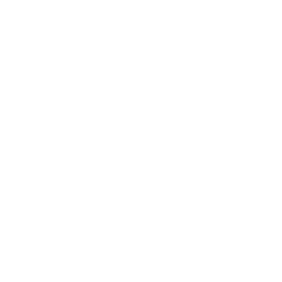 Globlal Solutions S&L-diseno